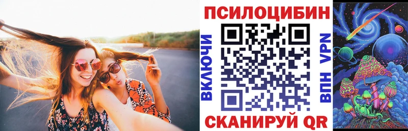 цены   Сосновка  Галлюциногенные грибы прущие грибы 